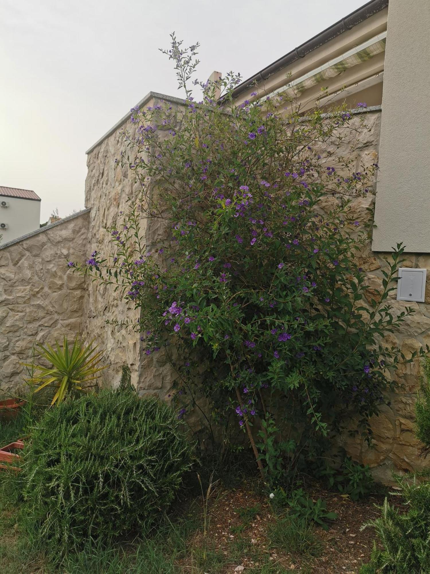 Apartments Riva بوفليانا المظهر الخارجي الصورة